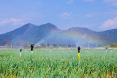 村落复兴承载着缩小城乡差距、实现配合敷裕的